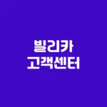 빌리카 고객센터 사고접수 및 긴급출동 전화번호 홈페이지 https://www.billycar.co.kr