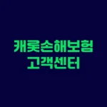 캐롯손해보험 고객센터 사고접수 및 보험금 청구 전화번호 홈페이지 https://www.carrotins.com