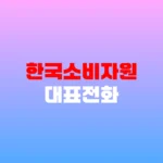 한국소비자원 대표전화 소비자 상담 및 피해구제 신청 방법 안내 홈페이지 https://www.kca.go.kr