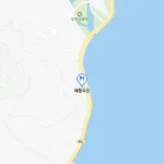 6시내고향 섬진강 벚굴 전국 택배 배송 태광수산 자연산의 깊은 풍미와 영양을 담은 보양식