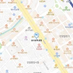 생방송투데이 안양시장 호떡 씨앗꿀호떡 호이호떡 본점 정성으로 빚어낸 달콤하고 바삭한 호떡