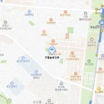 생방송투데이 인천 대왕 만둣국 오리만두국 이유 있는 맛플리 구월놀부만두 정성으로 빚어낸 속이 꽉 찬 수제 만두 전문점