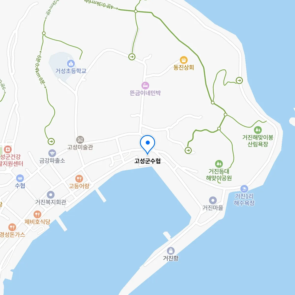 생생정보 고성 동해 참가리비