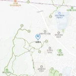 생생정보 은평구 절을 하면 금을 주는 곳 황금사찰 수국사 도심 속에서 만나는 황금빛 사찰의 평온함